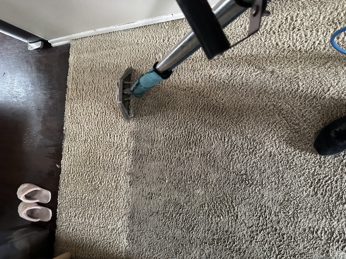 Hot-water extraction in action with steam rising